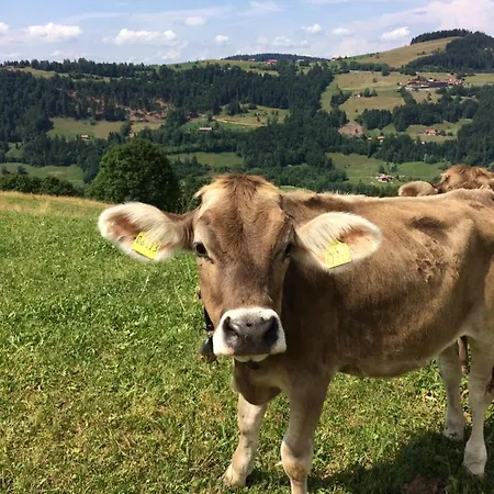 Weixler Schindelberg